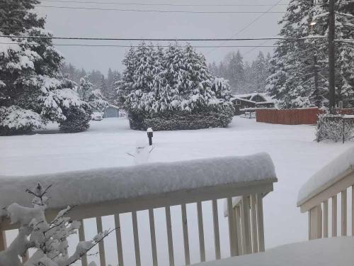 Port Angeles snow